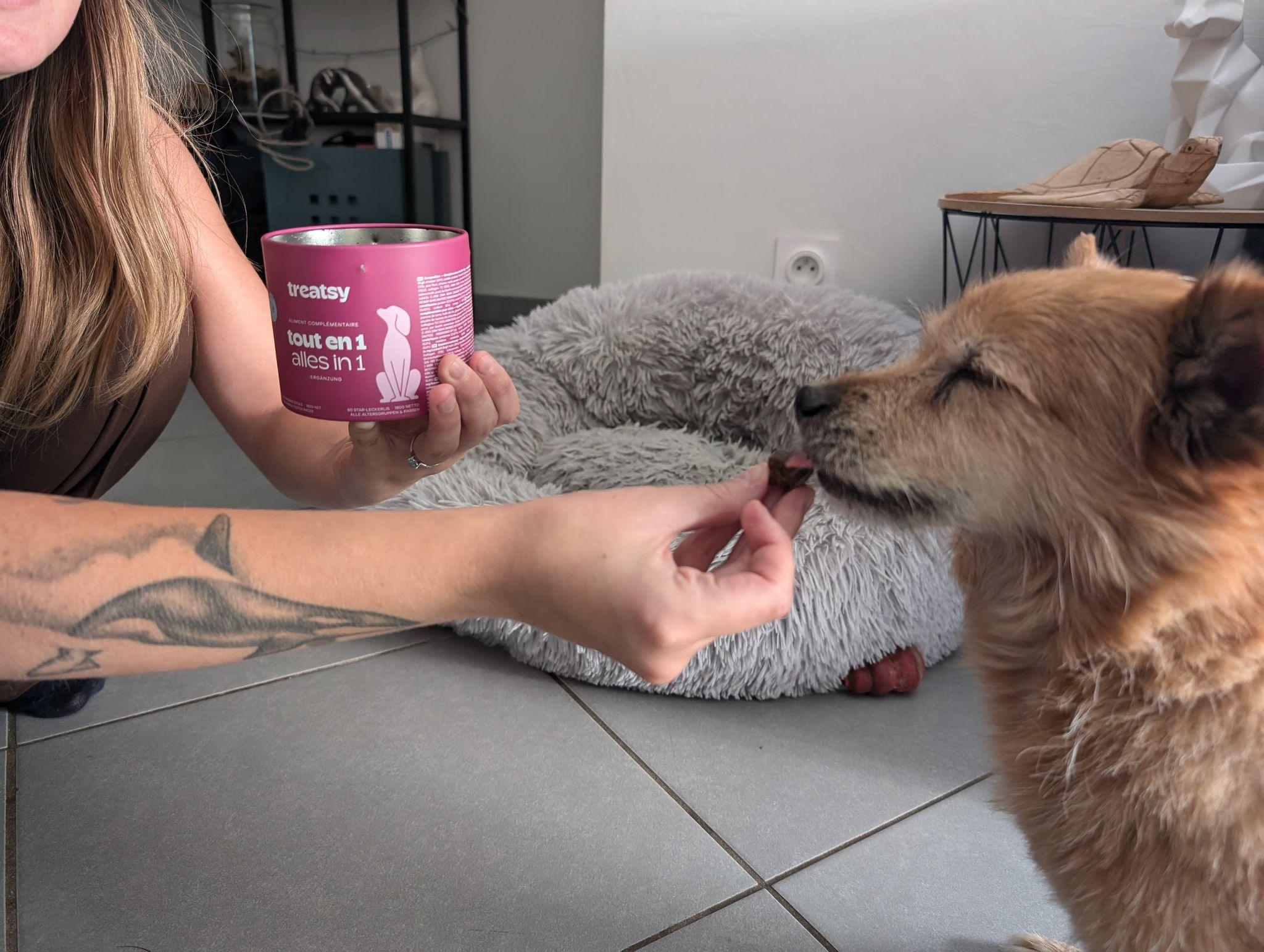 Hoe kan ik de algemene gezondheid van mijn hond of kat ondersteunen?