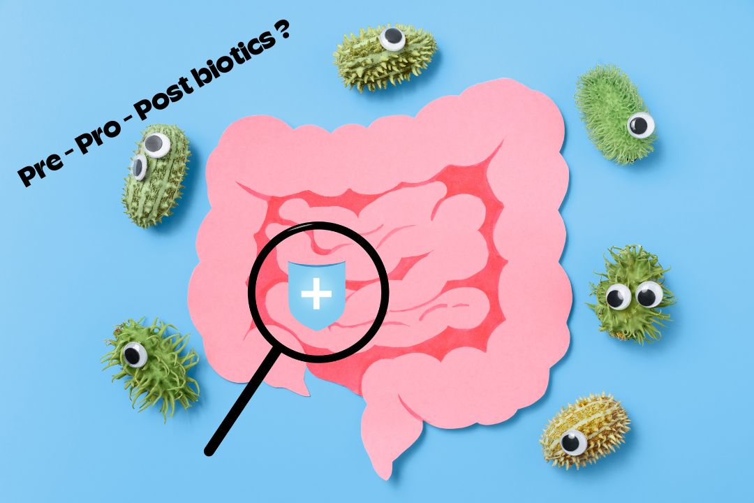 Prebiotica, probiotica, postbiotica? Wat is het verschil en hoe werkt het?