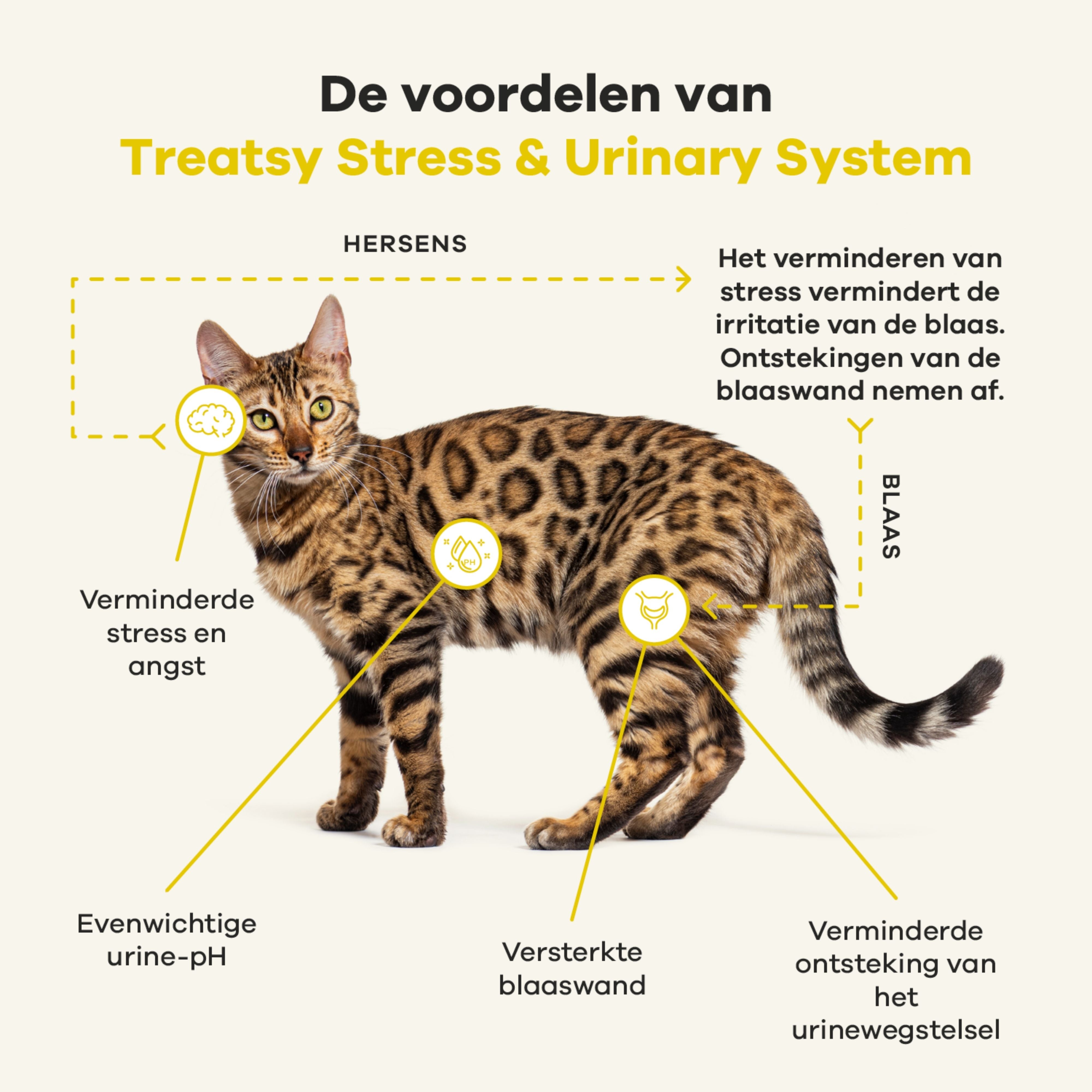 Veterinary Care - Stress & Urinewegen voor Katten