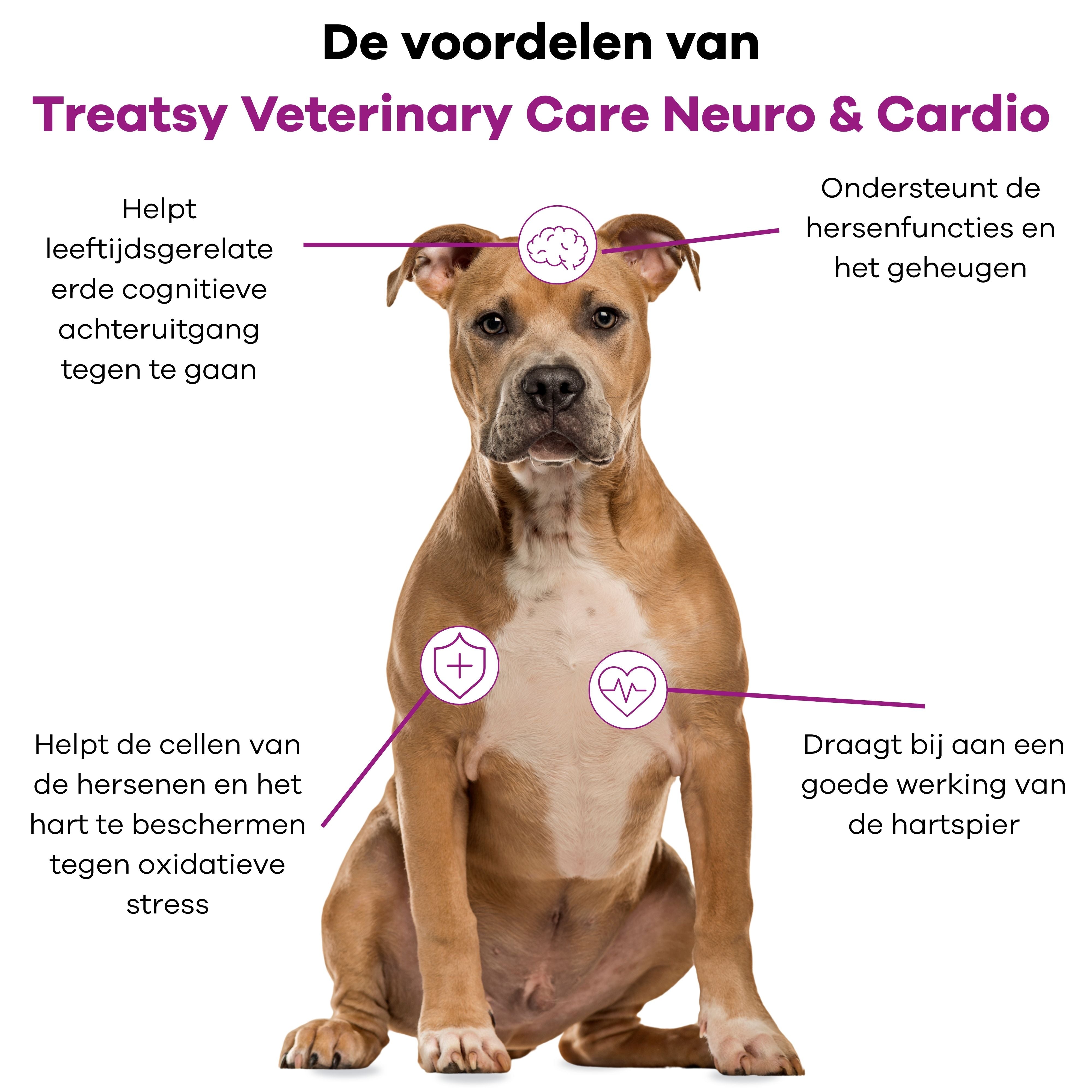 Veterinary Care - Hersen & hartondersteuning voor honden en katten