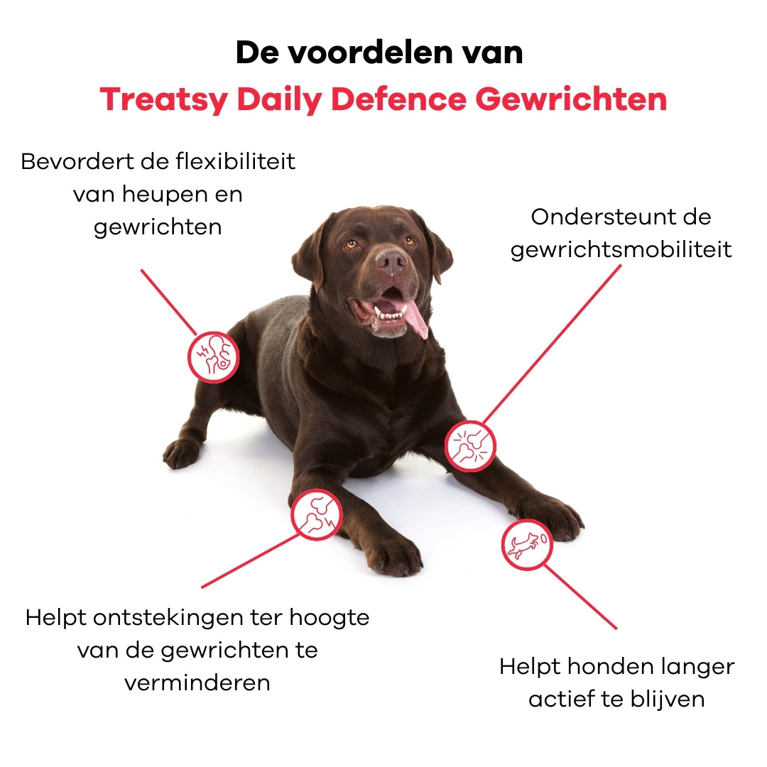 Daily Defence - Gewrichten voor honden