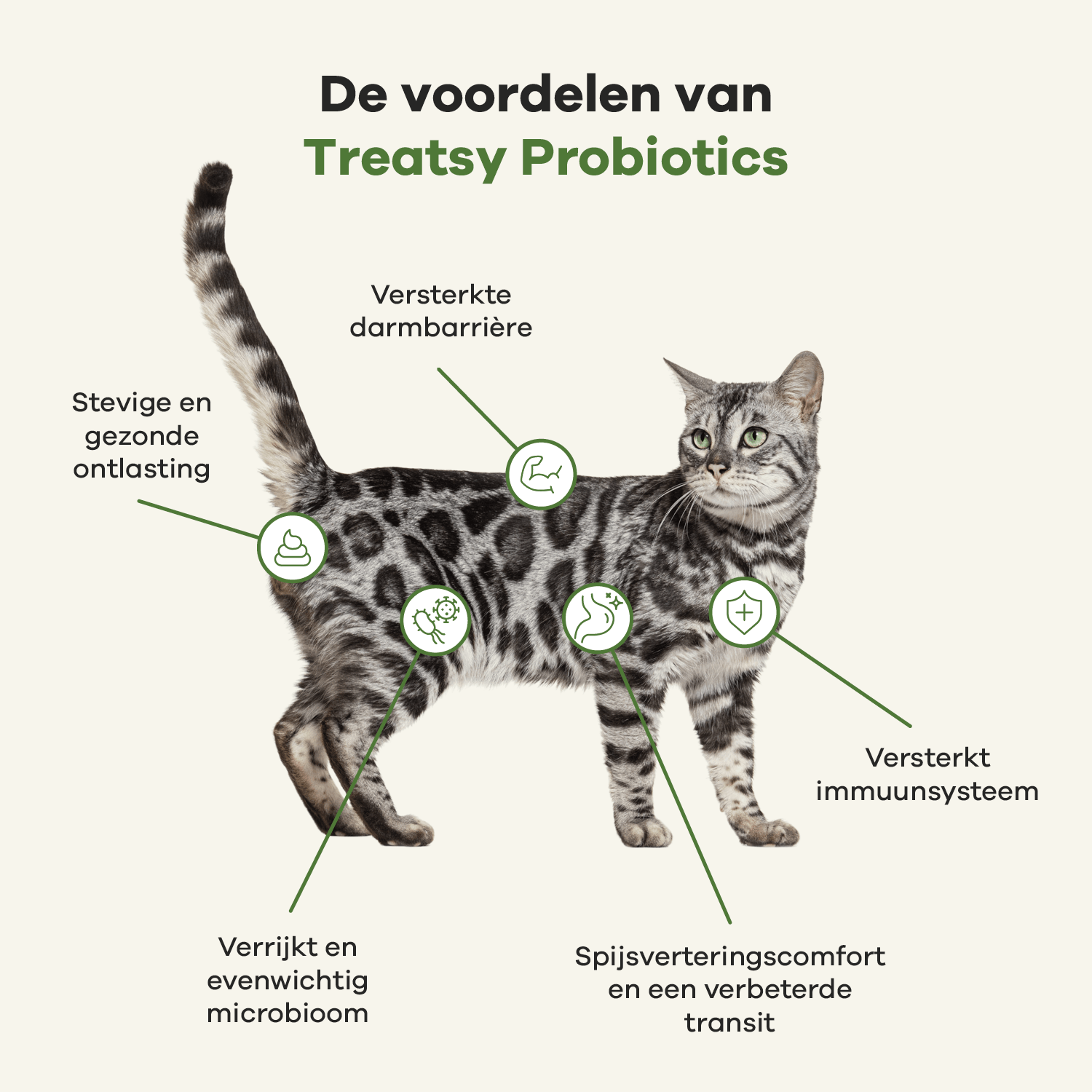 Veterinary Care - Probiotica voor Katten