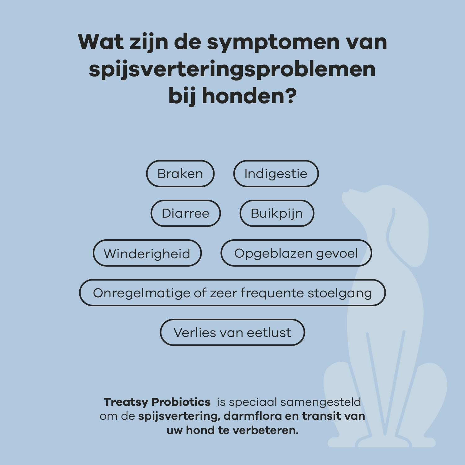 Veterinary Care - Probiotiques pour chien