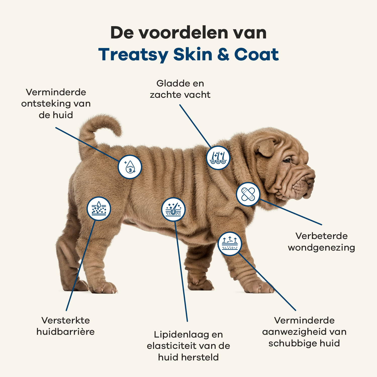 Huid & Vacht