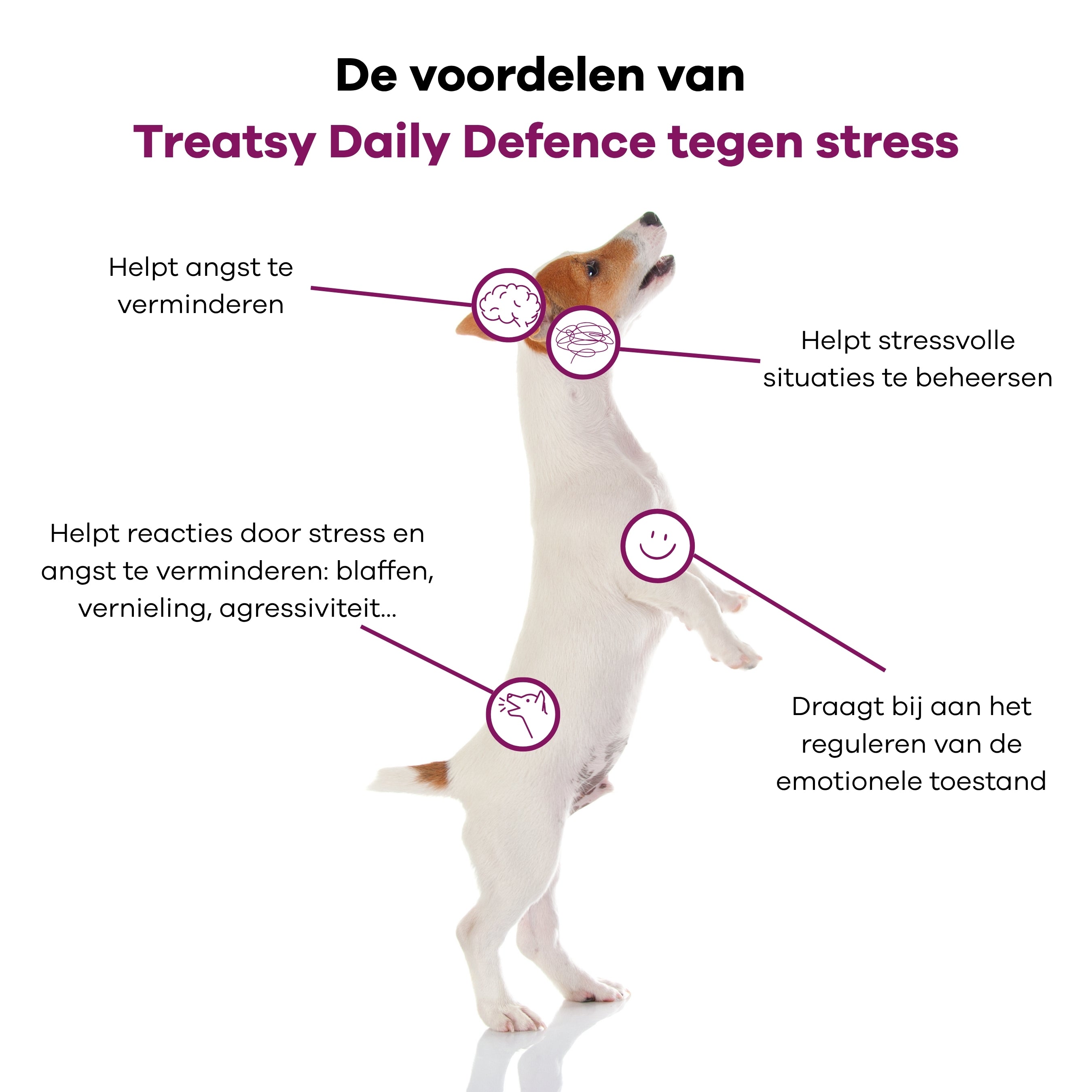 Daily Defence - Anti-stress voor honden