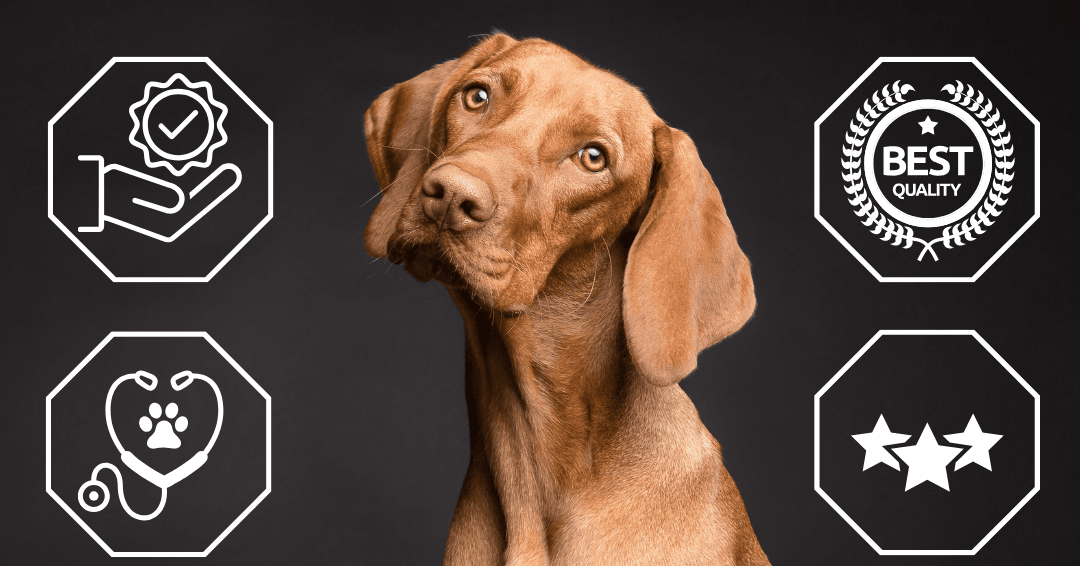 Wat is het verschil tussen een goed en een slecht voedingssupplement voor honden?