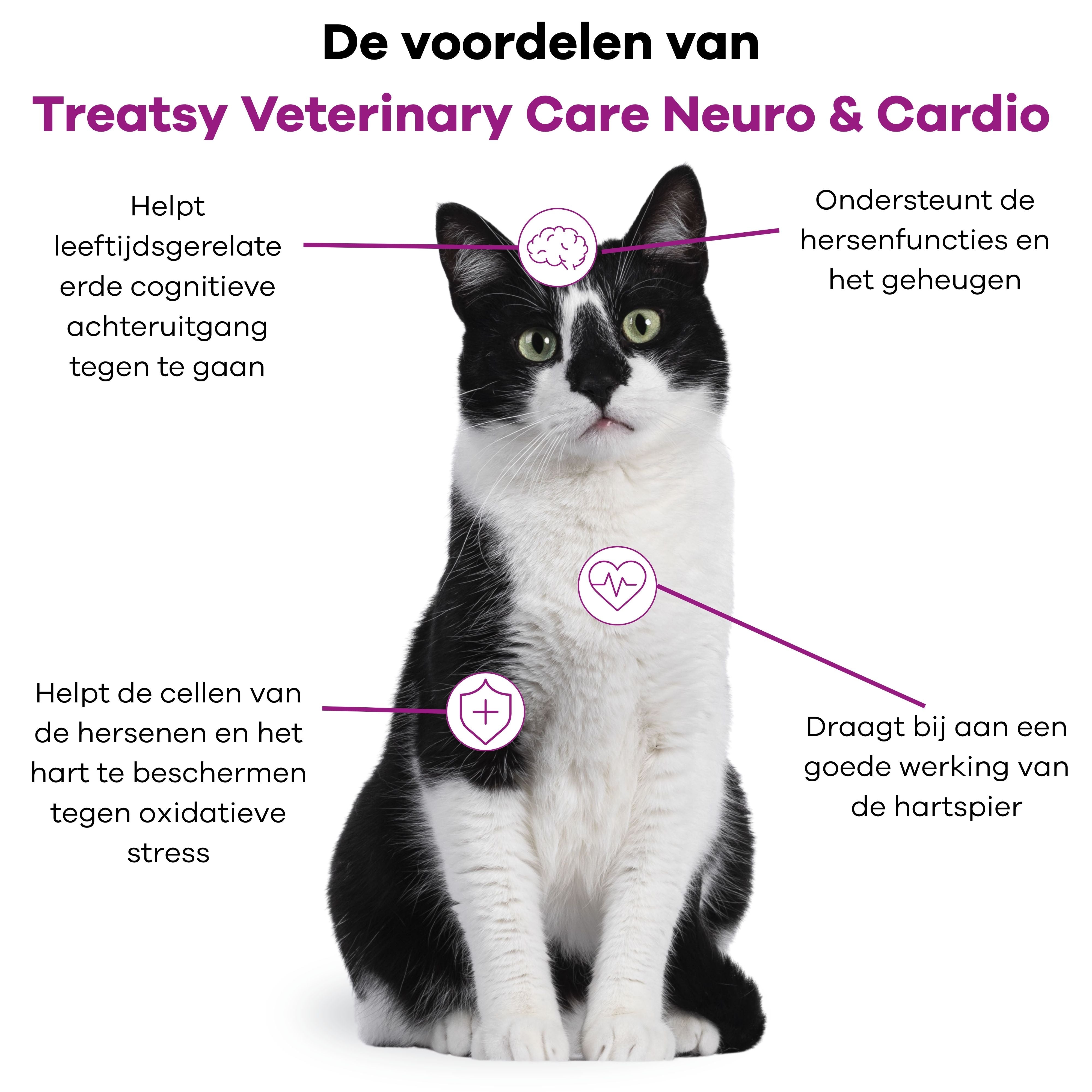 Veterinary Care - Hersen & hartondersteuning voor honden en katten
