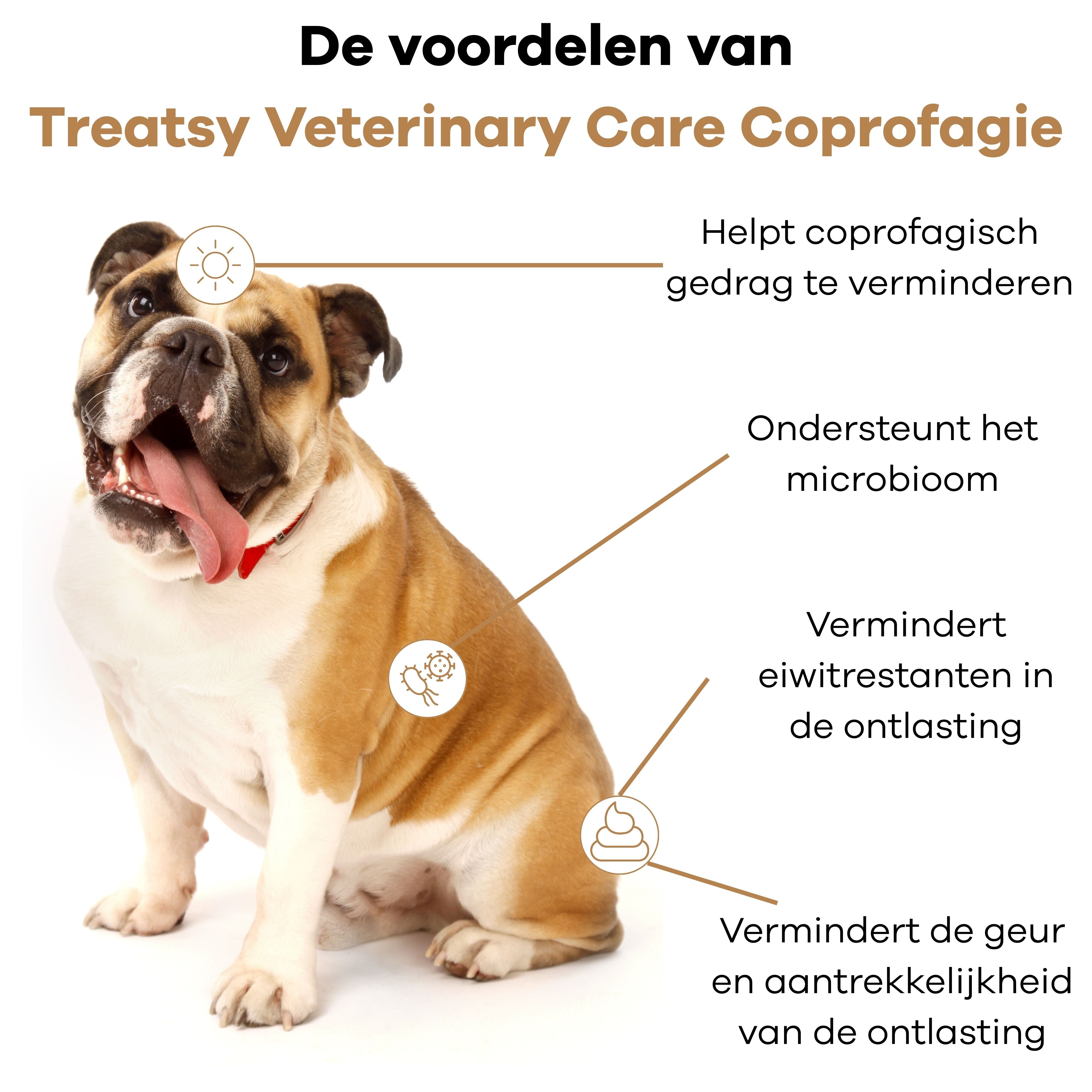 Veterinary Care - Coprophagia voor Honden
